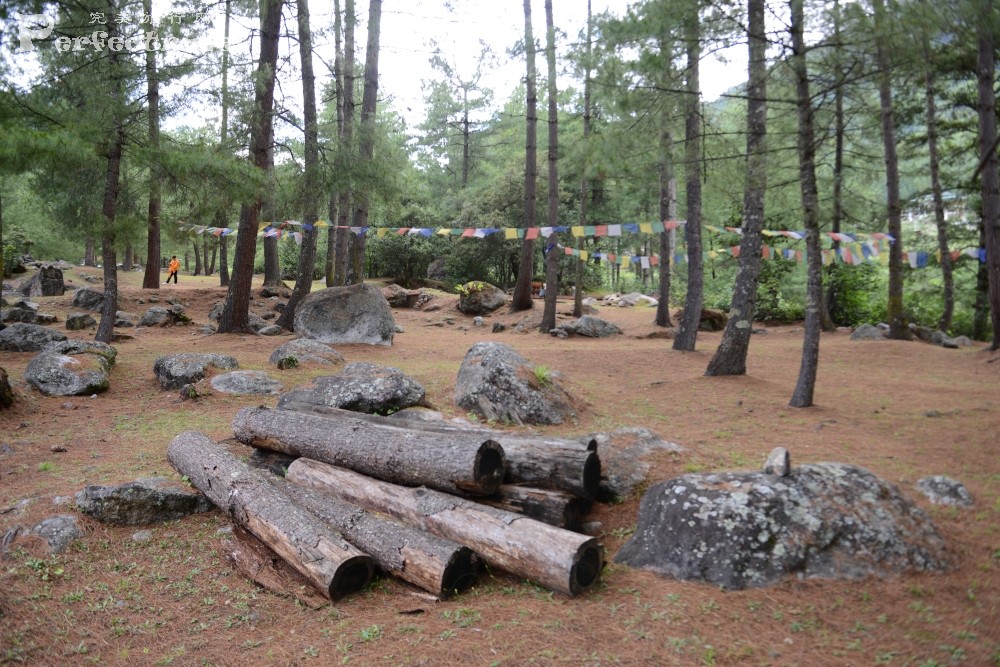 DSC_6385.JPG