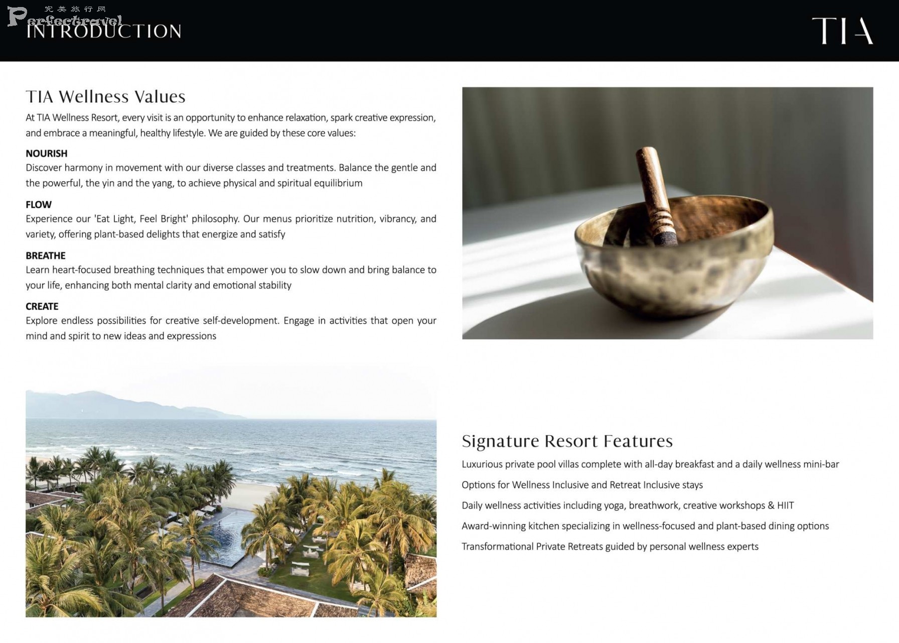 TIA - PORTFOLIO 2025_Page_04.jpg