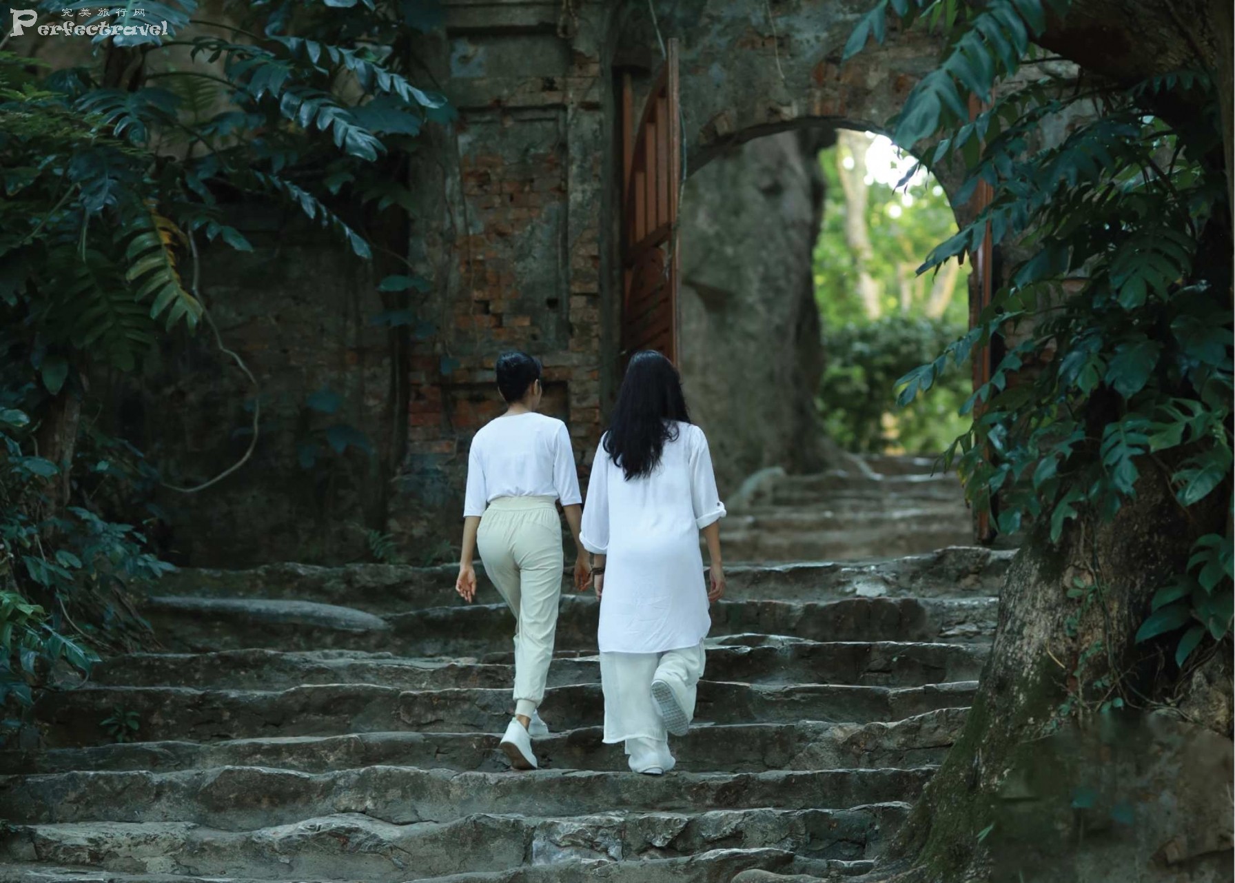 TIA - PORTFOLIO 2025_Page_19.jpg